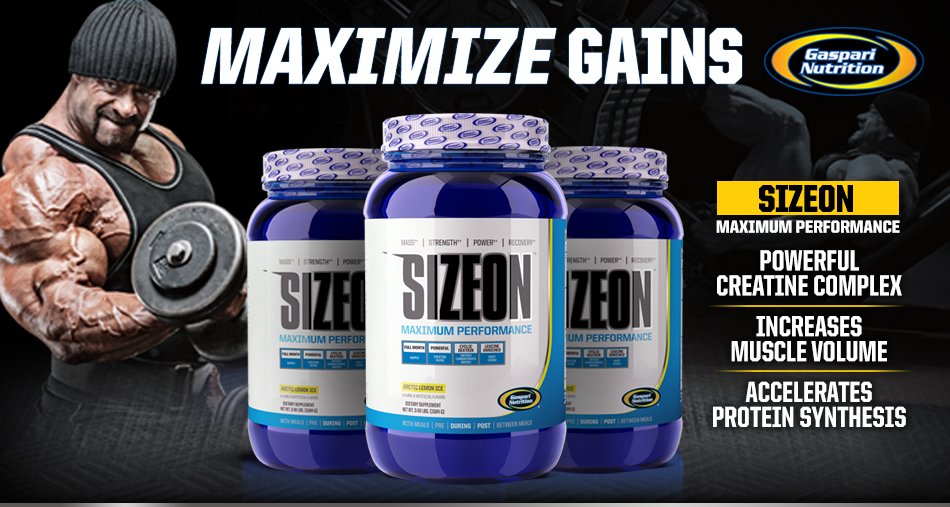 Gaspari Size On Wild berry