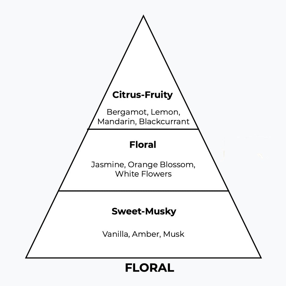 No 181 – Libryves | Similar Notes: Libre