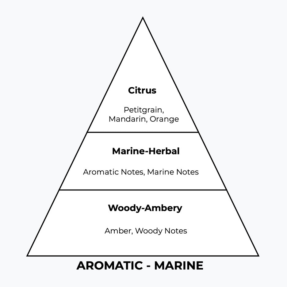 No 206 – Aqvamen | Similar Notes: Aqva