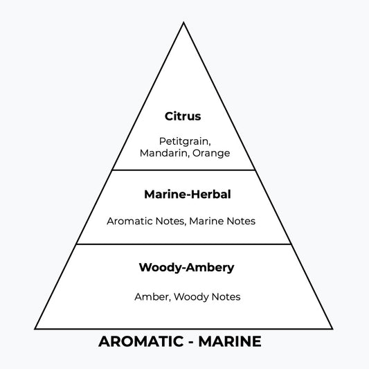 No 206 – Aqvamen | Similar Notes: Aqva
