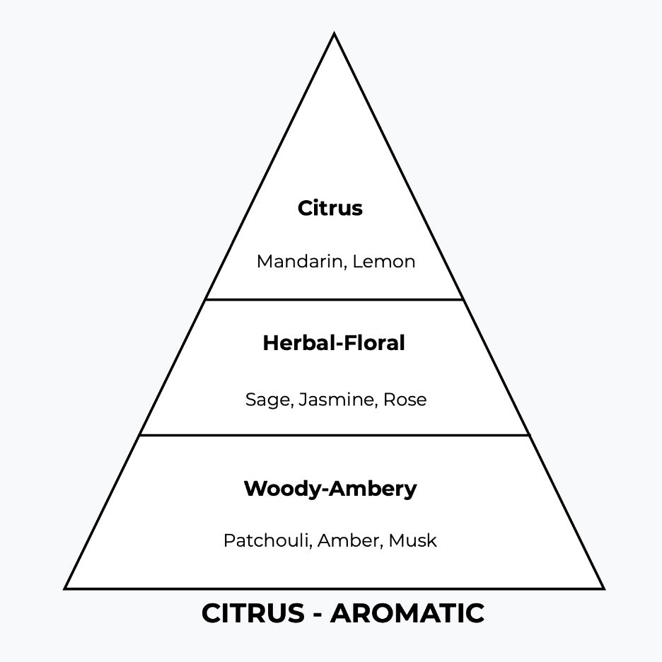 No 222 – Wodage | Similar Notes: Wood Sage & Sea Salt