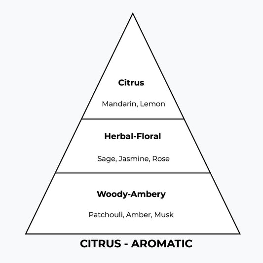 No 222 – Wodage | Similar Notes: Wood Sage & Sea Salt