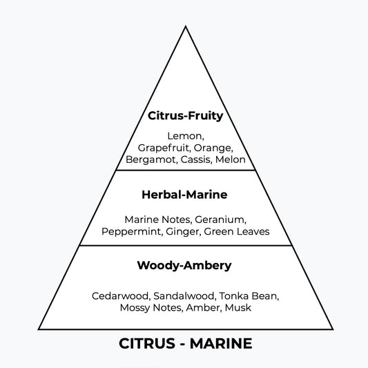 No 271 – Unlimited | Similar Notes: Boss Bottled Unlimited
