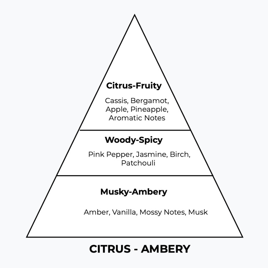 No 290 – Aventem | Similar notes: Aventus