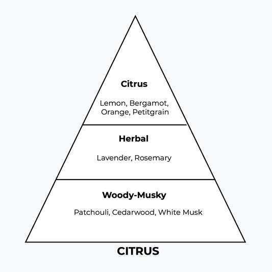 No 296 – Colonia Parma | Similar Notes: Colonia by Acqua Di Parma