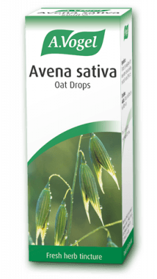 Avena sativa