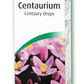 A. Vogal Centaurium (Centaury)