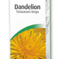 Dandelion (Taraxacum)