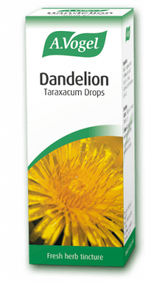 Dandelion (Taraxacum)