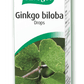 Ginkgo Biloba drops