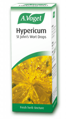 Hypericum Made from freshly harvested Hypericum perforatum