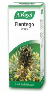 Plantago lanceolata Tincture of freshly harvested Plantago leaves