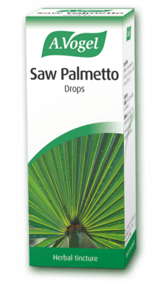 Saw Palmetto Drops Extract of Sabal serrulata berries