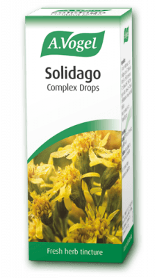 Solidago, birch and other herbs Fresh herb tincture