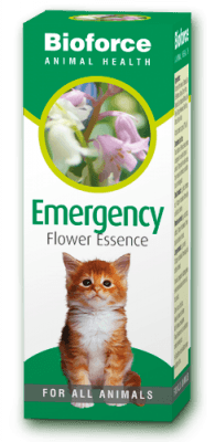 Emergency Essence for pets