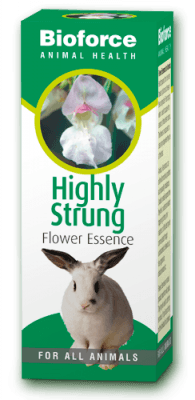 Highly Strung Essence