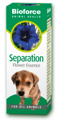 Separation Essence Bach flower remedy for pets