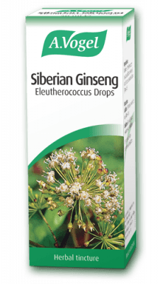 Siberian Ginseng Extract of Siberian Ginseng (Eleutherococcus senticosus) root