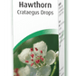 Hawthorn (Crataegus)