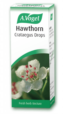 Hawthorn (Crataegus)
