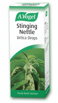 A Vogel Urtica Stinging Nettle