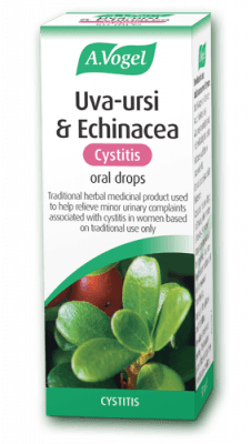 Uva-ursi and Echinacea – for cystitis