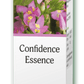 Confidence Essence
