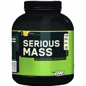 ON Serious Mass 2.7kg