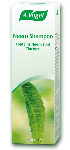 Neem Shampoo – New Formulation